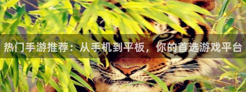 奇亿娱乐app下载地址：热门手游推荐：从手机到平板，你的首选