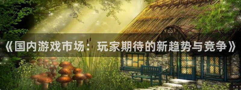奇亿娱乐Ii：《国内游戏市场：玩家期待的新趋势与竞争》
