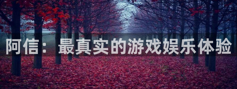 奇亿娱乐app：阿信：最真实的游戏娱乐体验