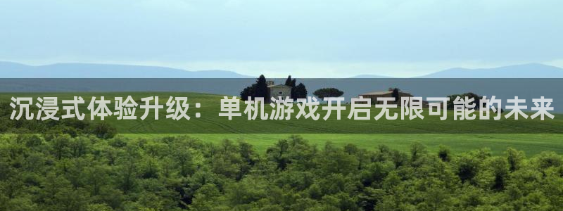 奇亿娱乐Ii：沉浸式体验升级：单机游戏开启无限可能的未来