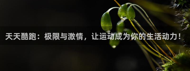 奇亿娱乐注册地址：天天酷跑：极限与激情，让运动成为你的生活动